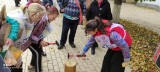 Без названия
